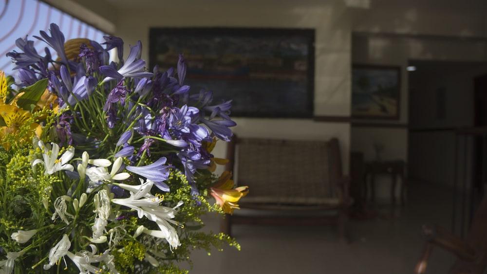 Hotel Luis V סנטו דומינגו מראה חיצוני תמונה